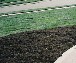 a sodded lawn next to a mulched future flower bed