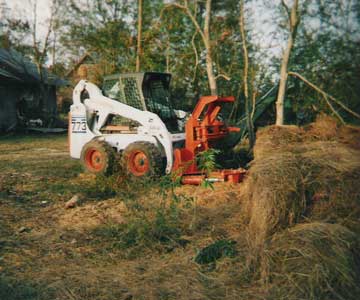 Bobcat with tree shear